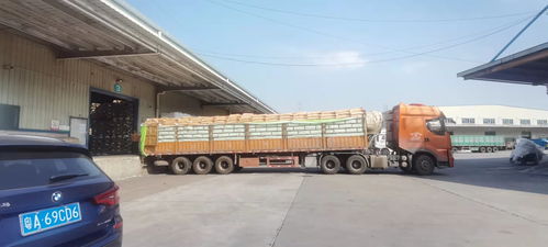 货物配送面面观 广州专业物流公司详解常见运输组织模式